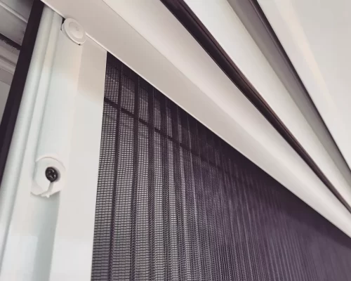 Plisze-szunyoghalo-3 (1) Plisze-szunyoghalo-3 (1)