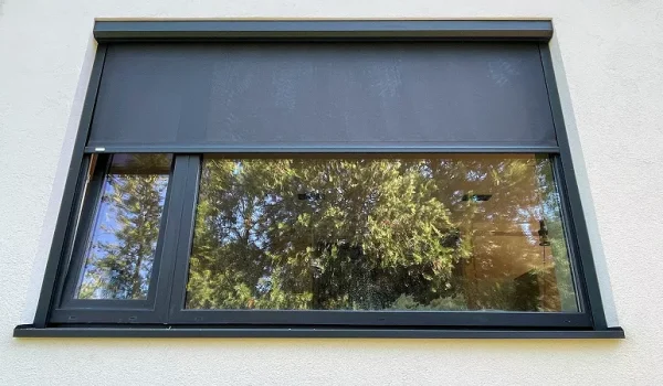 winscreen section 4 külső tokos